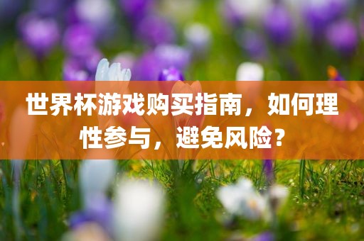 世界杯游戏购买指南，如何理性参与，避免风险？