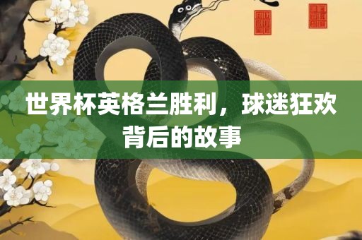 世界杯英格兰胜利，球迷狂欢背后的故事