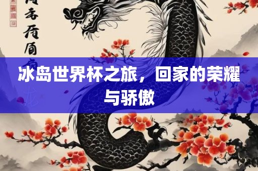 冰岛世界杯之旅，回家的荣耀与骄傲