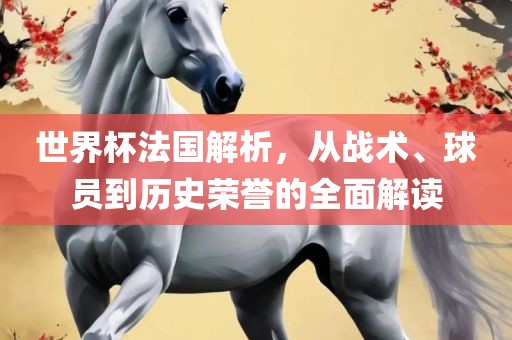 世界杯法国解析，从战术、球员到历史荣誉的全面解读