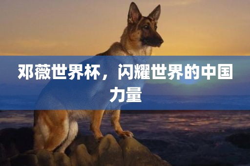 邓薇世界杯，闪耀世界的中国力量