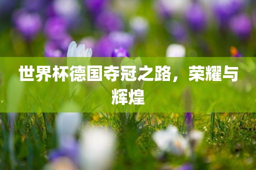 世界杯德国夺冠之路，荣耀与辉煌