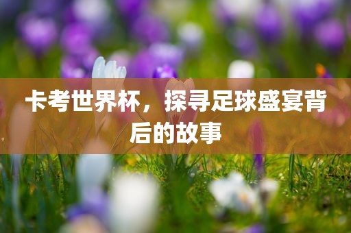 卡考世界杯，探寻足球盛宴背后的故事
