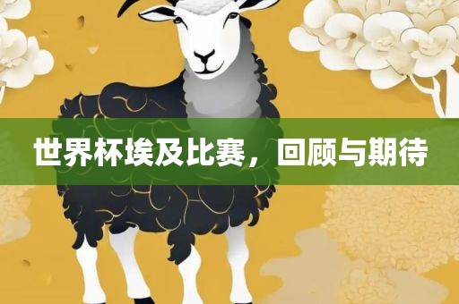 世界杯埃及比赛，回顾与期待
