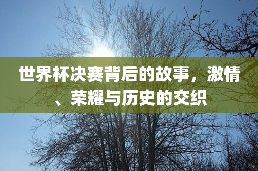 世界杯决赛背后的故事，激情、荣耀与历史的交织漯河市盈旭机械设备有限公司