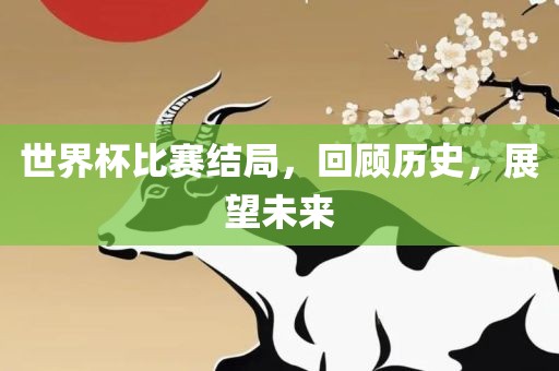 世界杯比赛结局，回顾历史，展望未来