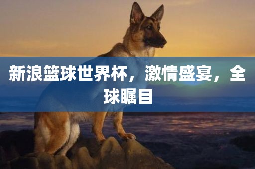 新浪篮球世界杯，激情盛宴，全球瞩目