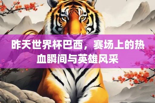 昨天世界杯巴西，赛场上的热血瞬间与英雄风采