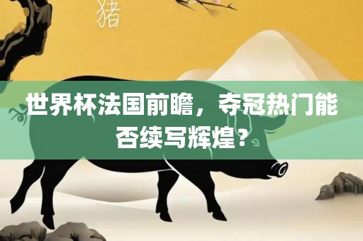 世界杯法国前瞻，夺冠热门能否续写辉煌？