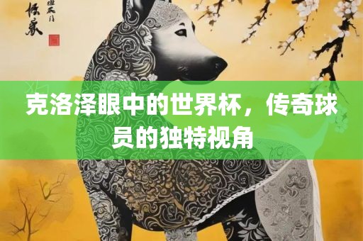 克洛泽眼中的世界杯，传奇球员的独特视角