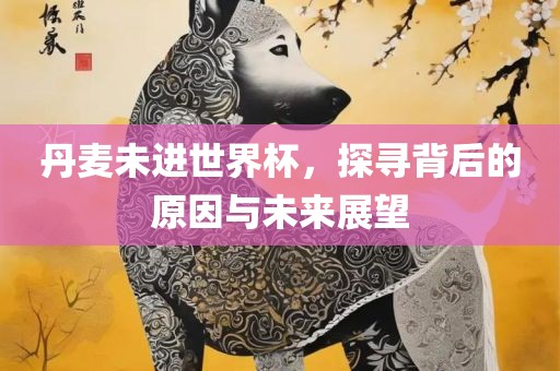 丹麦未进世界杯，探寻背后的原因与未来展望