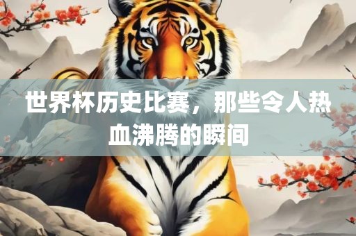 世界杯历史比赛，那些令人热血沸腾的瞬间