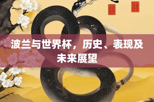 波兰与世界杯，历史、表现及未来展望