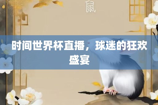 时间世界杯直播，球迷的狂欢盛宴