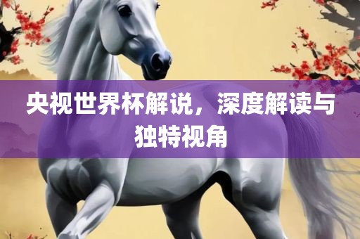 央视世界杯解说，深度解读与独特视角