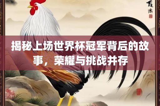 揭秘上场世界杯冠军背后的故事，荣耀与挑战并存