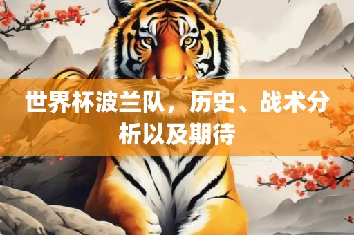 世界杯波兰队，历史、战术分析以及期待