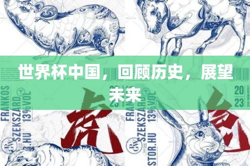 世界杯中国，回顾历史，展望未来