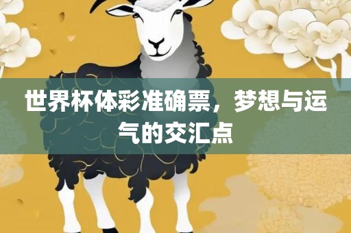 世界杯体彩准确票，梦想与运气的交汇点